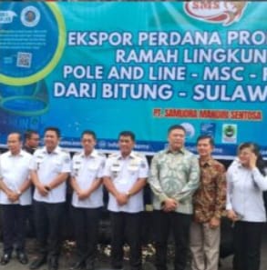 NAIK EKONOM