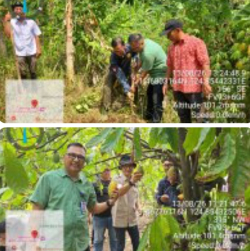 Di Tengah Krisis Lahan Pertanian Manado, Dua Kelompok Tani Teling Atas Bersiap Dikukuhkan
