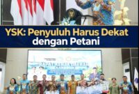 YSK PETANI