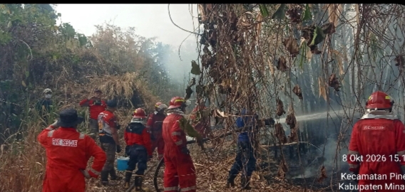 Api Mengganas di G-Wale, Warga dan Dua Damkar Berjibaku Selamatkan Perumahan